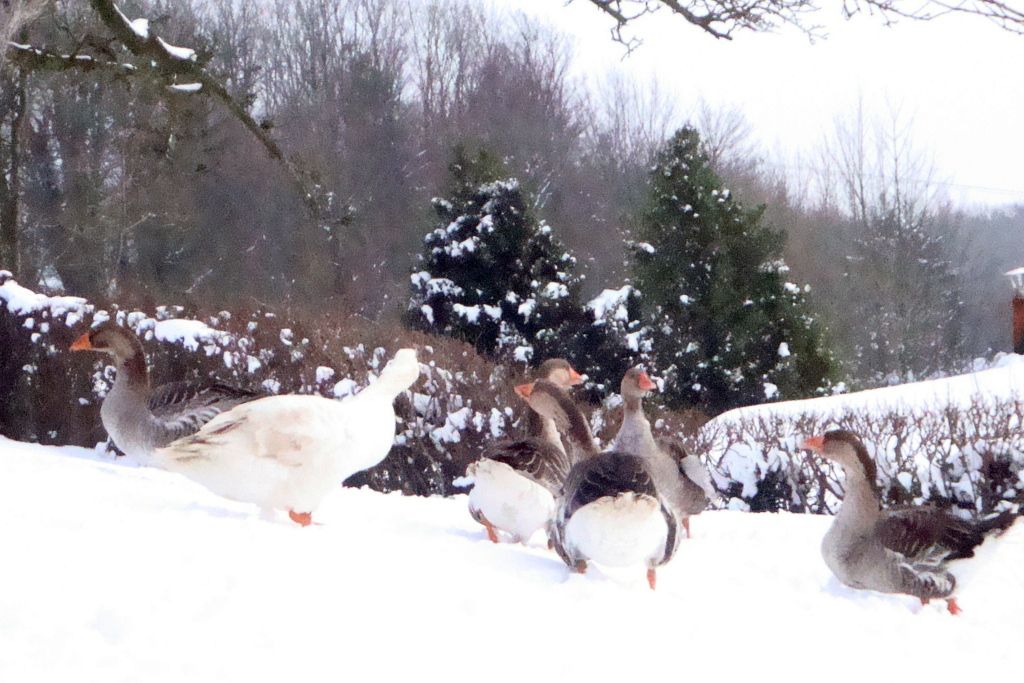 rencontre sur tilques